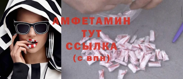 mix Ельня