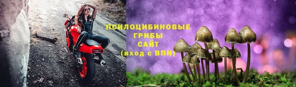 mix Ельня